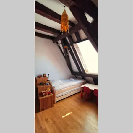 200m2 Triplex Proche Cathedrale Appartement *