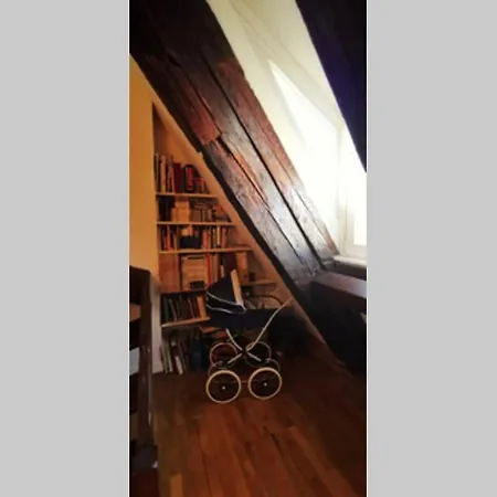 Apartment 200m2 Triplex Proche Cathedrale Strasbourg